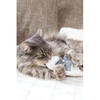 Flauschige graue getigerte Katze mit grünen Augen, die auf einer weißen Decke liegt und ein weiß-graues Stoffspielzeug hält und beißt.