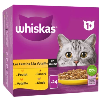 Boîte de nourriture pour chats Whiskas avec le visage d'un chat gris, étiquetée "Les Festins à la Volaille en sauce," avec des saveurs : poulet, canard, dinde, et 24 portions.