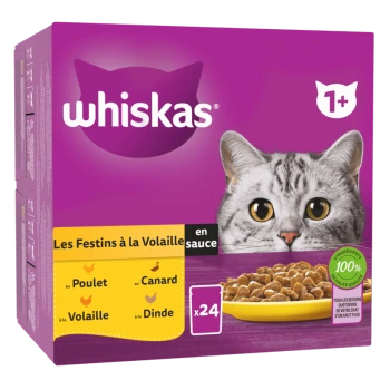 Boîte de nourriture pour chats Whiskas avec le visage d'un chat gris, étiquetée "Les Festins à la Volaille en sauce," avec des saveurs : poulet, canard, dinde, et 24 portions.