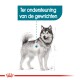 Illustratie van een hond met de focus op gewrichtsondersteuning, met de tekst "Ter ondersteuning van de gewrichten" erboven.