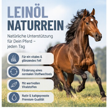 Behälter mit REAVET Leinöl Naturrein für Pferde, mit einer Grafik eines galoppierenden Pferdes und Nährwertangaben an der Seite.