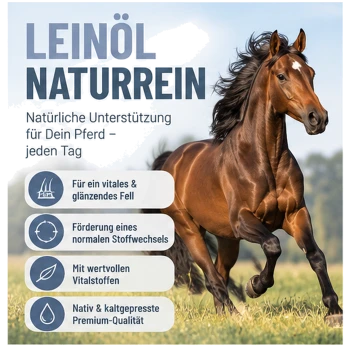 Behälter mit REAVET Leinöl Naturrein für Pferde, mit einer Grafik eines galoppierenden Pferdes und Nährwertangaben an der Seite.