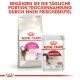 Zwei Royal Canin Haustierfutterprodukte: ein Beutel "Feline Preference AROMA Exigent" und ein "INSTINCTIVE" Beutel mit einer Katzengrafik.