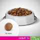 Stalowa miska dla psa wypełniona brązowymi krokietami, pokazująca zbliżenie na kawałek 14 mm oznaczony jako "adult 1+" i "greater than 10kg."