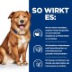 Ein brauner Hund sitzt neben einem blauen Panel, das Vorteile von Haustierfutter wie einzigartige Proteine, Immununterstützung und Omega-3 für die Hautgesundheit zeigt.