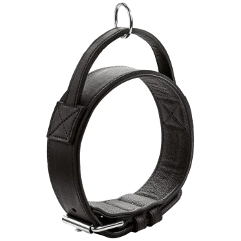 Schwarzes Leder-Haustierhalsband mit einem silbernen Metallring und verstellbarem Schnallenverschluss, das ein elegantes und langlebiges Design zeigt.