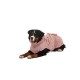 Ein Berner Sennenhund, der ein weiches rosa Handtuch trägt, liegt mit einem glücklichen Ausdruck vor einem weißen Hintergrund.