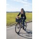 Pet Fahrradtasche Vacation für kleine Hunde, Grau/Blau
