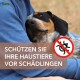 Eine Person in einem blauen Hemd umarmt einen Hund, mit einem deutschen Textüberlagerung: "Schützen Sie Ihre Haustiere vor Schädlingen" und einem Symbol ohne Schädlinge.