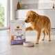 Golden Retriever reniflant un sac de nourriture Select Gold MEDICA Veterinary Diet à côté d'un bol vide dans une cuisine.