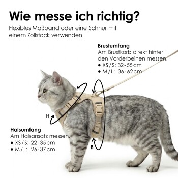 Beiges Haustiergeschirr mit einem runden Logo, das "LUCY BALU" liest, mit dem Text "Schönes Design in beige und schwarz erhältlich."