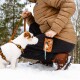 Eine Person in einer braunen Daunenjacke kniet im Schnee neben einem kleinen weißen Hund mit braunen Flecken und hält einen orangefarbenen Leckerli-Beutel.