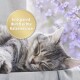Eine schlafende graue getigerte Katze ruht auf einer weichen Oberfläche, umgeben von zarten lila Blumen. Ein runder Aufkleber sagt: "Entspannt durch echte Katzenminze."
