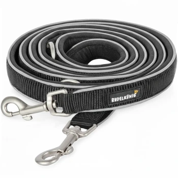 Schwarze Hundeleine, aufgerollt mit reflektierenden Kanten, mit einem Metallclip und einem Etikett, das "Rudelkönig" liest.