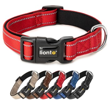 Rotes Halsband für Haustiere mit einer schwarzen Schnalle, das das "lionto"-Logo und einen Metall-D-Ring für die Leinenbefestigung zeigt.