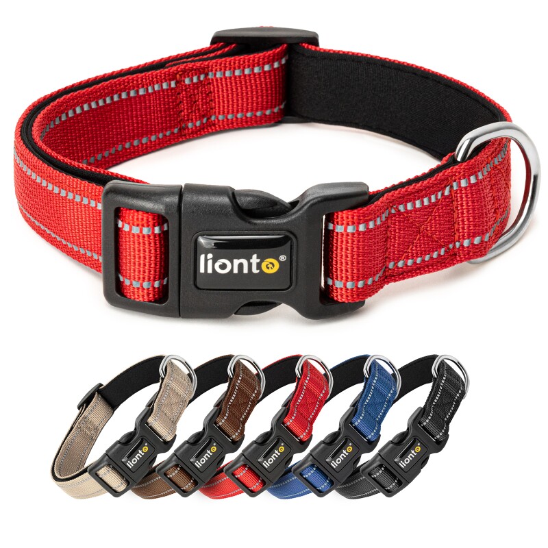 Lionto Verstellbares Hundehalsband Rot L