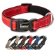 Rotes Halsband für Haustiere mit einer schwarzen Schnalle, das das "lionto"-Logo und einen Metall-D-Ring für die Leinenbefestigung zeigt.