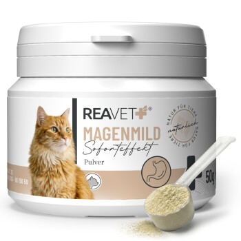 Behälter von REAVET+ Magenmild Tierpulver, zeigt eine orange Katze und Text über natürliche Inhaltsstoffe und schnelle Wirkungen.