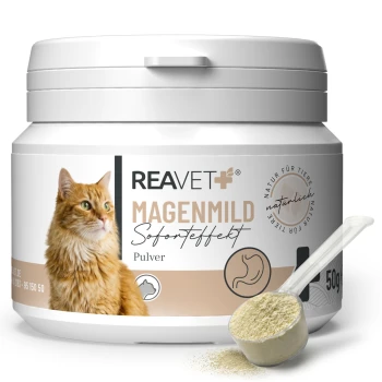 Behälter von REAVET+ Magenmild Tierpulver, zeigt eine orange Katze und Text über natürliche Inhaltsstoffe und schnelle Wirkungen.