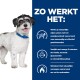 Een fluffy hond met een blauwe halsband staat naast een blauwe achtergrond met tekst over gewichtsverlies ondersteuning en supplementen.