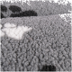 Close-up of a soft, gray pet blanket featuring a textured surface with white and black paw print patterns.