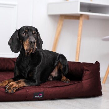 Ein graues Haustierbett mit erhöhten Seiten und einem kleinen Kissen, auf einem hellen Holzboden platziert, mit einem "tierlando"-Logo.