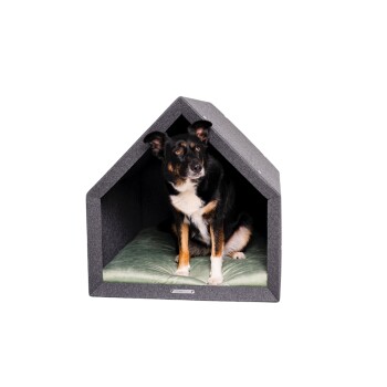 Pethome 2.0 dunkelgrau grau/ grün XL