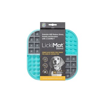 ® Splash™ Turquoise