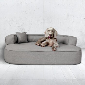 Illustration eines Haustiersofas mit der Bezeichnung 'Größe XXL', mit Abmessungen: 150 cm Länge, 100 cm Breite, 20 cm Höhe und einem dekorativen Kissen.