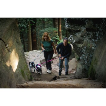 Eine Frau und ein Mann gehen einen steinigen Weg im Wald entlang, jeder mit einer Leine, die an kleinen Hunden befestigt ist. Die Hunde tragen bunte Geschirre.