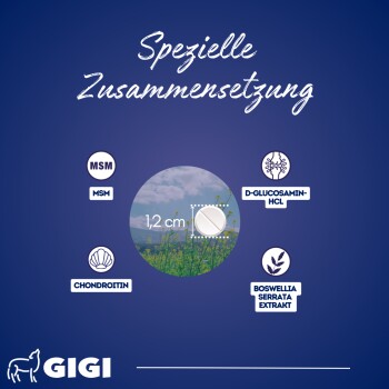 Blauer Hintergrund mit 'Spezielle Zusammensetzung', einer 1,2 cm Tablette und Icons für MSM, Chondroitin, D-Glucosamin-HCL und Boswellia.