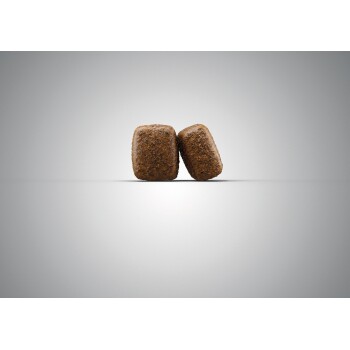 Zwei braune Haustierfutterkibble-Stücke, die sich auf einem hellgrauen Hintergrund aneinander lehnen.