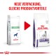 Expert Dental Medium & Large Dogs 6 kg
