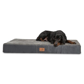 ® STUART ORTHO PLUS - Orthopädische Hundematte schwarz/ graphit 80 cm, 13 cm, 60 cm
