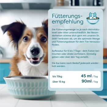 Kleiner Hund frisst aus einer blauen Schale auf einer Küchenarbeitsplatte neben einer deutschen Fütterungsempfehlungstabelle für Haustiere.