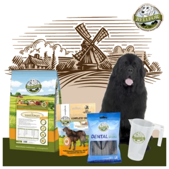 Ein schwarzer Neufundländer sitzt neben Bellfor Tierprodukten: Hundefutter, Zahnsticks und einem Messbecher, mit einer ländlichen Kulisse.