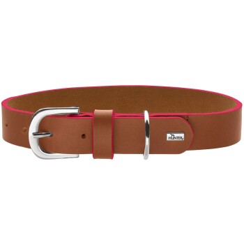 Braunes Lederhalsband mit rosa Einfassung, silberner Schnalle und D-Ring, kleinem Metallanhänger mit Aufschrift 'HUNTER'.