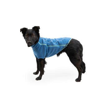 Ein schwarzer Hund, der eine hellblaue Fleecejacke mit Reißverschluss trägt, steht vor einem weißen Hintergrund.