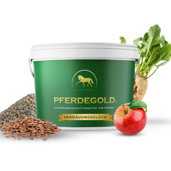 Grüner Eimer beschriftet mit "PFERDEGOLD" mit dem Text "VERDAUNUNGSGLÜCK", umgeben von Samen, einem Apfel und einem Wurzelgemüse.