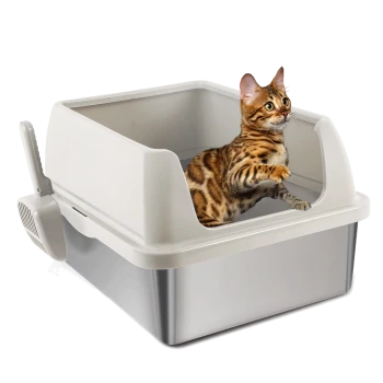 Bengalkatze in einer beige überdachten Katzentoilette mit grauer Basis und befestigter Schaufel