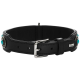Schwarzes Leder-Hundehalsband mit türkisfarbenen Akzenten und silberner Hardware, mit einer Schnalle und einem dekorativen Design.