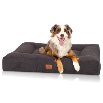 Ein glücklicher Australian Shepherd Hund liegt auf einem dunkelgrauen Hundebett mit einem Lederschild, das 'Knuffelwuff' liest.