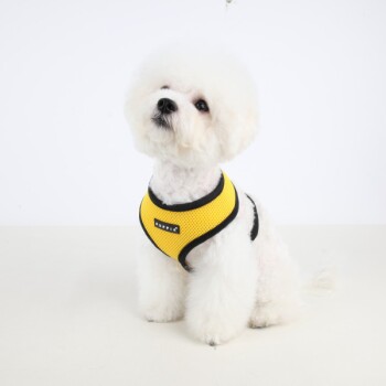 Ein flauschiger weißer Hund, der ein hellgelbes und schwarzes Geschirr trägt, sitzt auf einer hellen Oberfläche und schaut mit einem neugierigen Ausdruck nach oben.