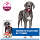 Grauer Hund mit rotem Halsband neben einer Hundefuttertüte; Plakette 'ACTIVBIOME+ DIGESTION' und Banner 'PERFEKTE HÄUFCHEN IN 7 TAGEN'.