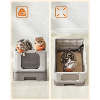 Zwei Katzen, eine getigerte und eine graue, sitzen auf einer modernen Katzentoilette. Die Box hat ein transparentes Fenster und ist für bis zu 15 kg ausgelegt.
