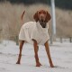 Ein brauner Hund, der einen beigen, gemütlichen Hoodie trägt, steht an einem sandigen Strand, mit hohem Gras und einem Pfosten im Hintergrund.