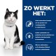 Een zwart-witte kat op een blauwe achtergrond benadrukt de voordelen van huisdiervoeding: verteerbaarheid, prebiotica, elektrolyten en B-vitamines.