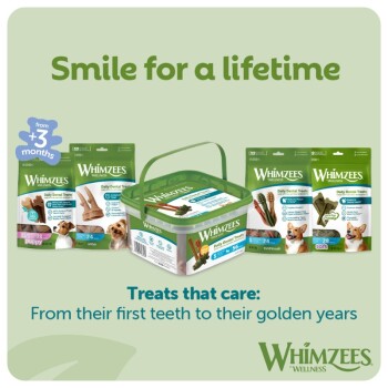 Whimzees dog dental treats packaging and tub with slogan 'Smile for a lifetime' and text 'Treats that care'.