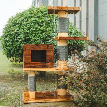Holzkratzbaum für Katzen mit mehreren Ebenen, einem gemütlichen Versteck und Kratzpfosten, umgeben von Grün und Wassertropfen.