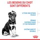 Image d'un chiot avec texte : "Les besoins du chiot sont différents," mettant en avant son système immunitaire fragile et sa digestion sensible.